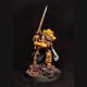Corswain – Paladin of the Ninth Order