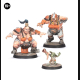 Escher Matriarchs & Phyrr Cats + Ogre Team Booster