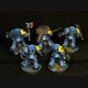 Wolf Guard Terminators 