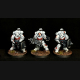 White Scars Eradicator Squad