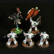 White Scars Champions of Armageddon