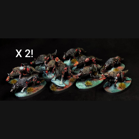 Dire Wolves x 2 + Fell Bats x 4  + Black Knights x 2  + Sanguine Swarms x 2 (4 minis)